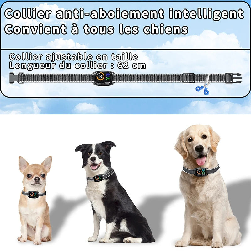 d696c9f1-25a1-435d-831d-ac2b29631712