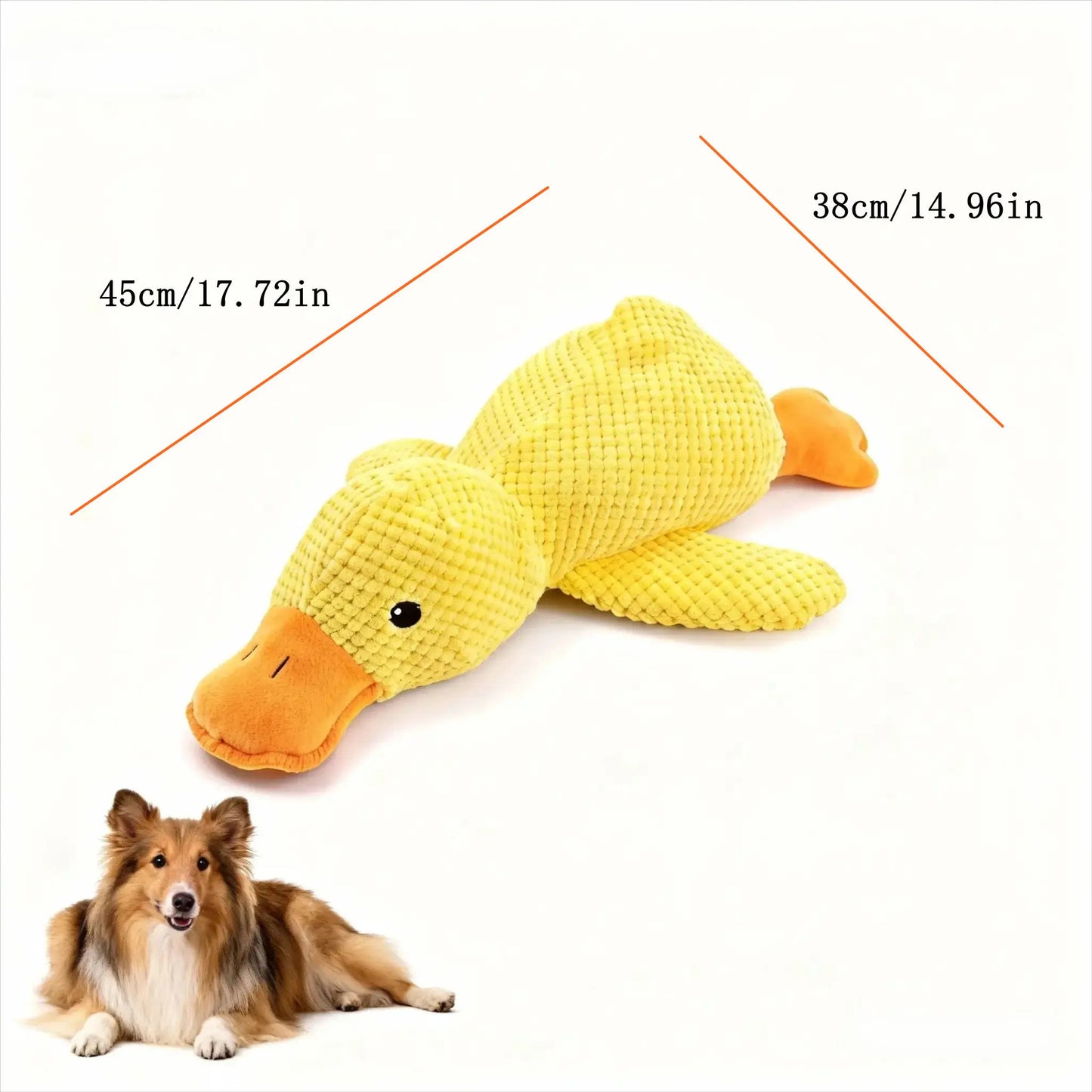 bc8170c0-3e4e-4982-91f9-55d6a8fc53ab