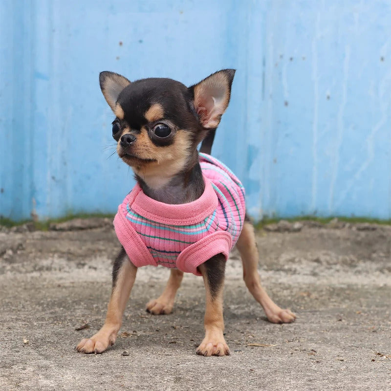 437cddb5-594c-449d-8e9b-f413469b154d
