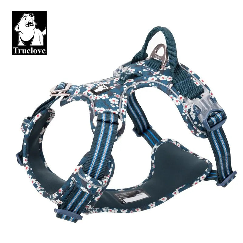 3d1d1caa-b274-47c2-bf9a-dcd301b266cf