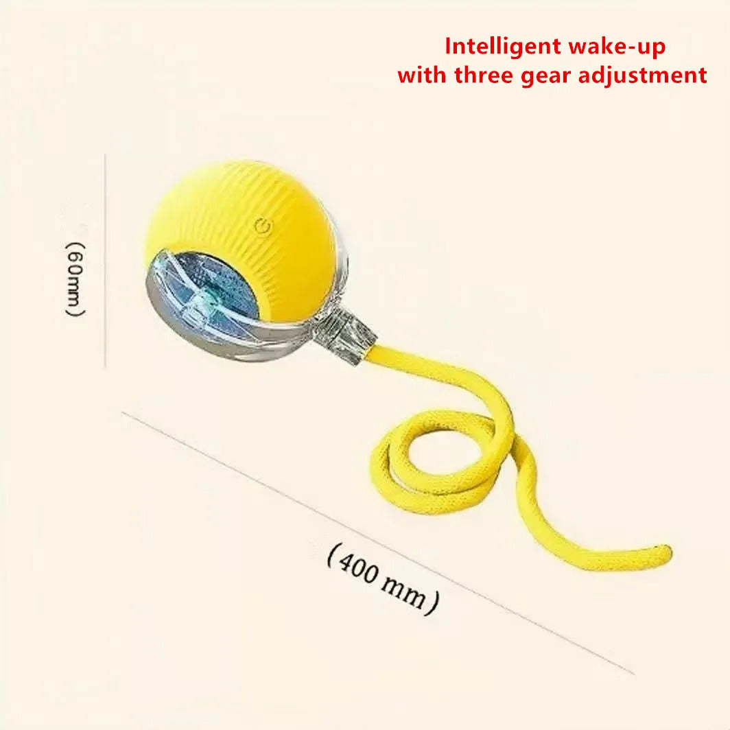 9e80a23d-7bce-4507-b2cf-6374203299d4