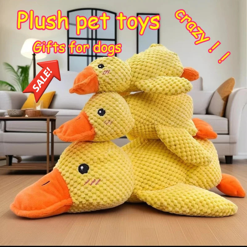 b91e899f-2f88-429c-bd0b-d52d49e08391