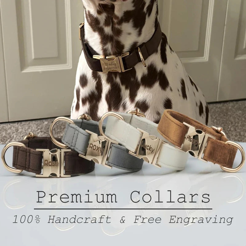 35848bf6-180c-4b36-91dc-cd78387efe13