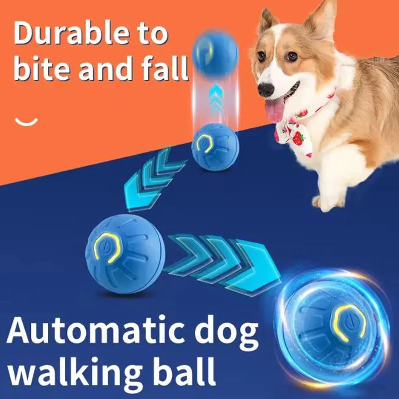 bd3388f8-f018-4b2b-9904-7662d9b84bf3