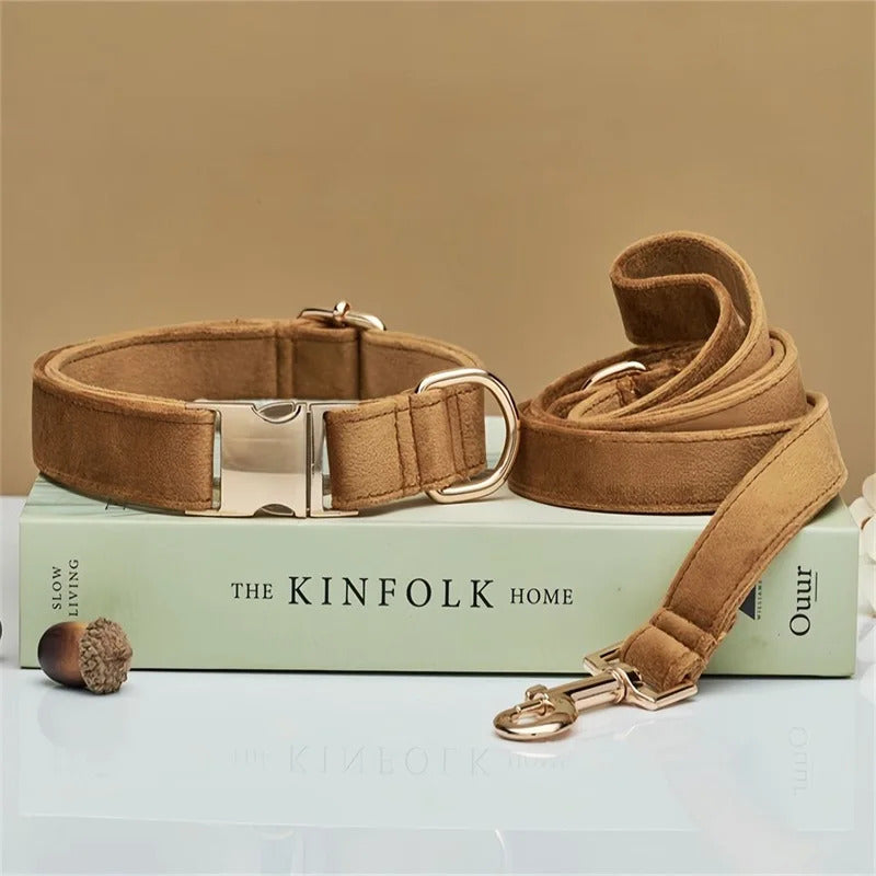 1e6a8ffd-6d59-4546-a0c4-ab204d8d93f7