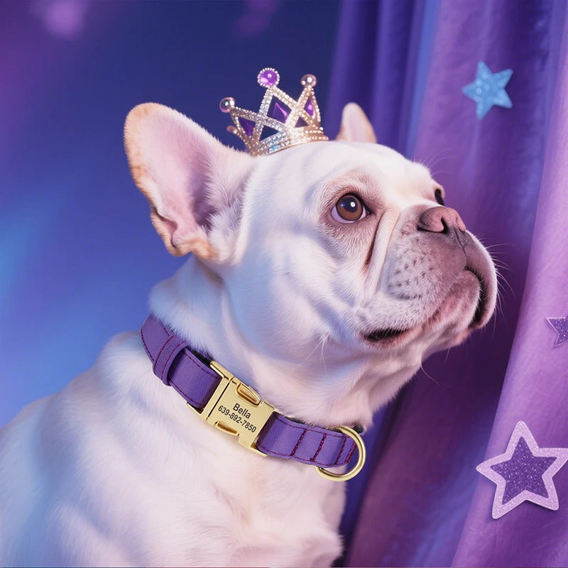 2910868d-530b-4a58-842a-3d6c885d629b