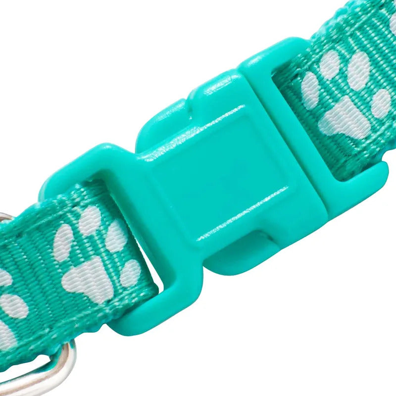 200bac28-9e91-4217-a19a-2d16f212fee0