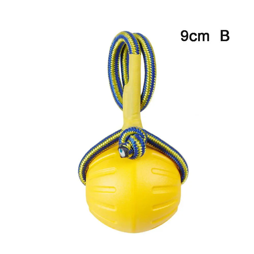 40f6960d-6c2d-4c1c-9544-7d8f7f1c8005