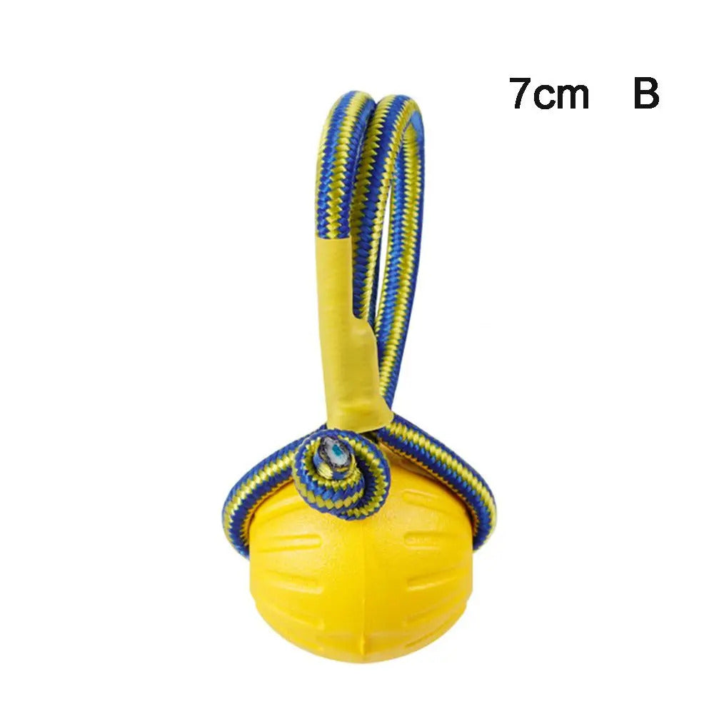c9d1bbcd-3507-47ba-b8a0-348aad405de3