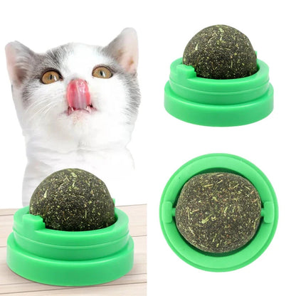 318c29c7-0fa1-497f-adcd-09430cd65c3b